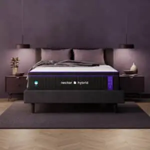 Nectar Premier Hybrid