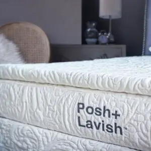 Posh + Lavish Providence 2" True Pillow Top