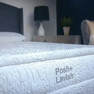 Posh + Lavish Providence 3" True Pillow Top
