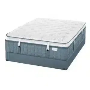 Aireloom Luxury Topper mattress with plush surface, designed for enhanced comfort, featured on Healthy ZZZ's Sit & Sleep e-commerce site.