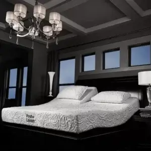 Posh + Lavish Restore adjustable split head mattress in a modern bedroom setting, featuring elegant decor and soft lighting.
