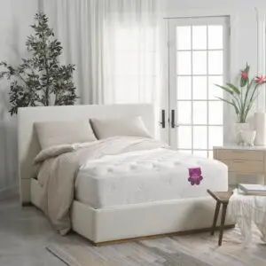 Pranasleep Dharma Elite Hybrid