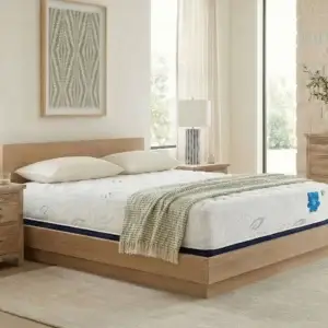 Pranasleep Asha Luxe Hybrid