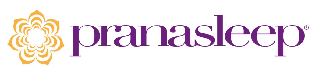 PranaSleep logo featuring a stylized flower design in orange and purple, representing premium sleep products within the DreamCloud brand on Healthy ZZZ's Sit & Sleep platform.